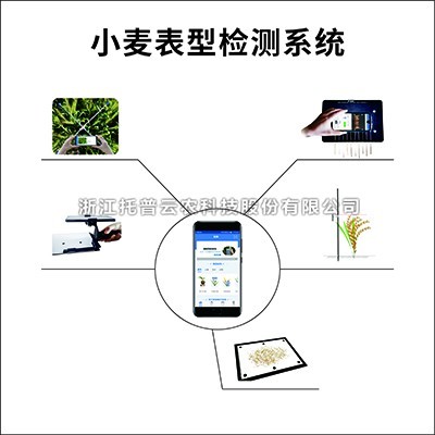 小麥表型檢測係統詳細介紹